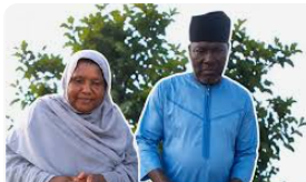We are optimistic about release of abducted ex-Defence Spokesman, wife – Katsina Govt
