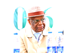 2027: Credible elections impossible under present INEC structure — Mekwunye, SAN