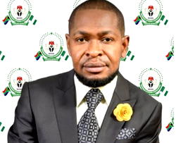 Xenophobic attacks: ‘Nigerians always first suspects even when other Africans commit crime’— Onyekwelu, President-General, Nigerian group in S/Africa