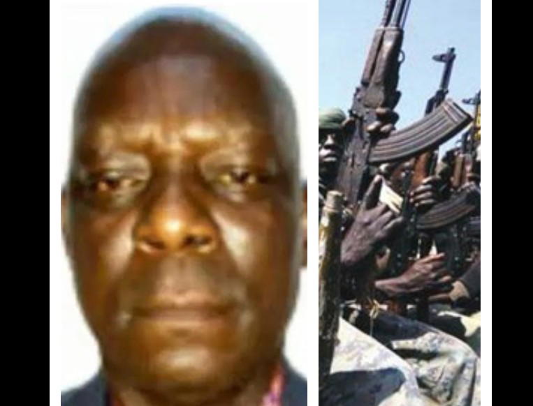 Top officials finance kidnappings for political gain and personal safety, says Rear Admiral Olisemelogor