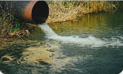 10 million schoolchildren at risk as 161 million Nigerians rely on unsafe water — SCI