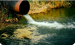 10 million schoolchildren at risk as 161 million Nigerians rely on unsafe water — SCI