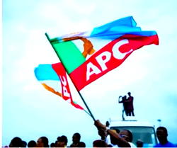 Group backs newly elected candidates in Ondo, says they’ll drive Dev