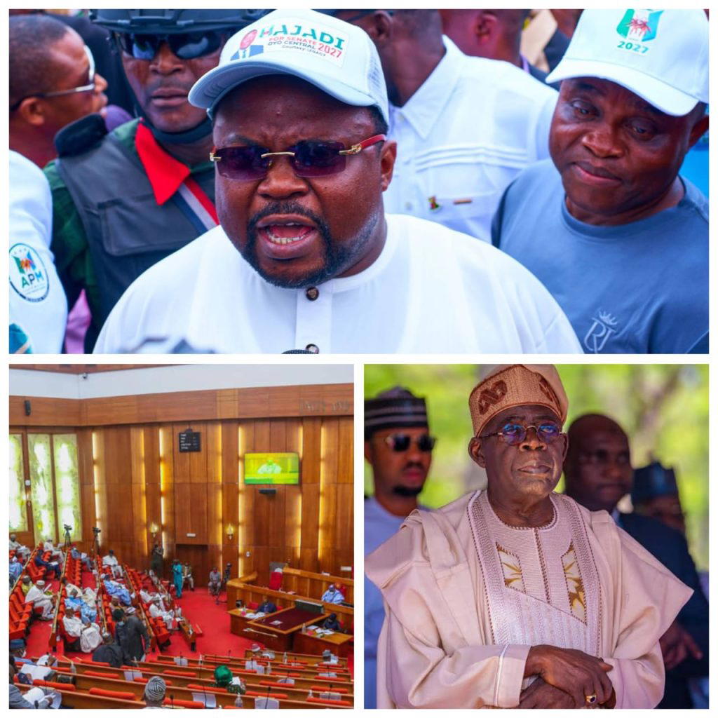 Ajadi seeks constitutional powers for governors