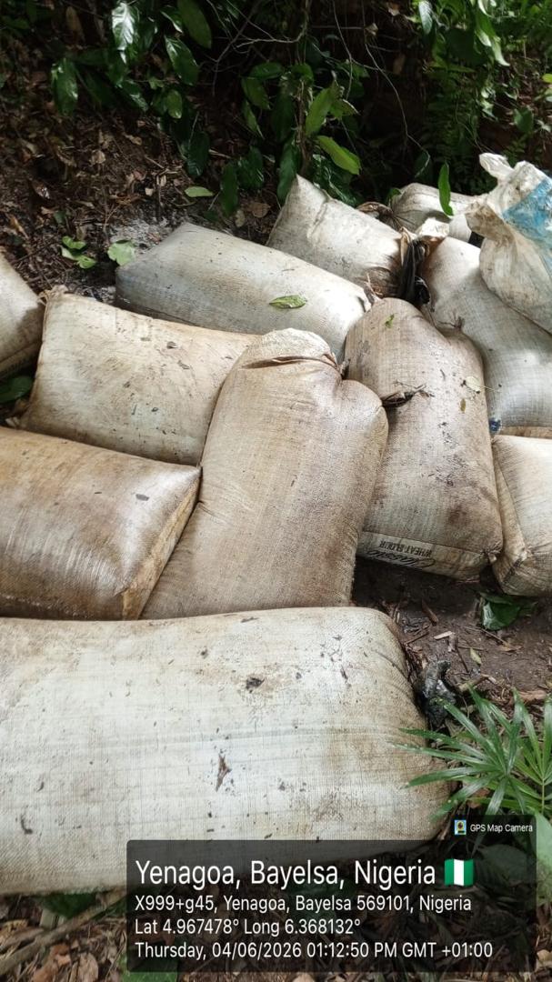 Navy recovers 92,660 litres of illegal diesel, disrupts oil theft network in Rivers