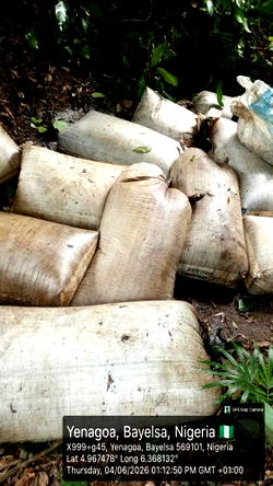 Navy recovers 92,660 litres of illegal diesel, disrupts oil theft network in Rivers