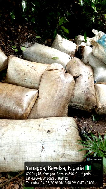 Navy recovers 92,660 litres of illegal diesel, disrupts oil theft network in Rivers