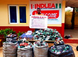NDLEA busts opioid trafficking network, arrests suspects across six states