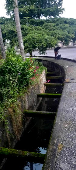 Bayelsa Gov’s aide decries poor drainage at Ekeki Motor Park
