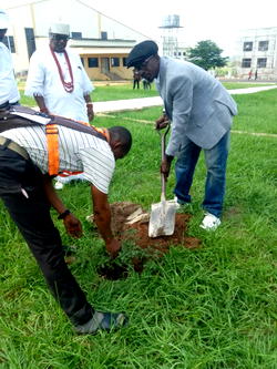 World Environment Day: DOU, Green Energy Foundation promote climate action, plant 20 trees