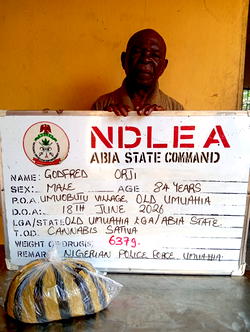 NDLEA arrests two grandfathers for selling drugs to secondary school students