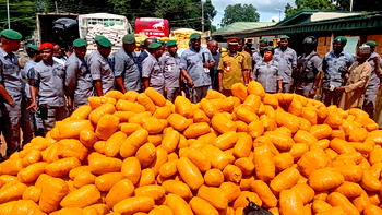 Ogun customs generates ₦259.8m revenue, seizes contraband worth ₦4.63bn in three months