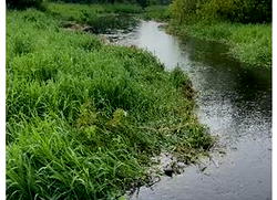 Displaced families in Ayanrin communities, others seek LASG help as Gada canal overflows