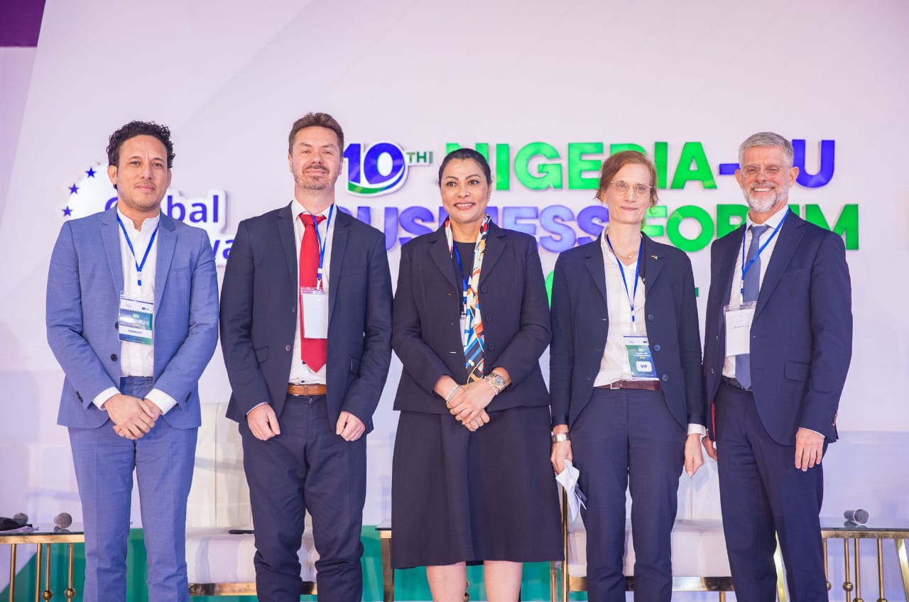 European development financiers step up investment in Nigeria
