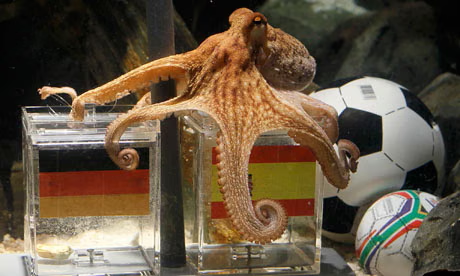 World Cup psychic animals: Remembering Paul the oc