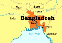 Bangladesh president resigns citing ill health