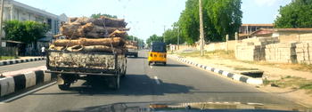 Gov Zulum calls for enforcement of anti-deforestation laws