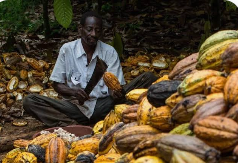 Can Agriculture Replace Crude? Experts reveal path to Nigeria’s export revival