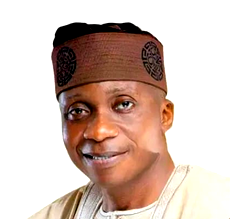 Lagos-Calabar Highway: Don’t sacrifice Ondo’s coastline, Afenifere tells Tinubu