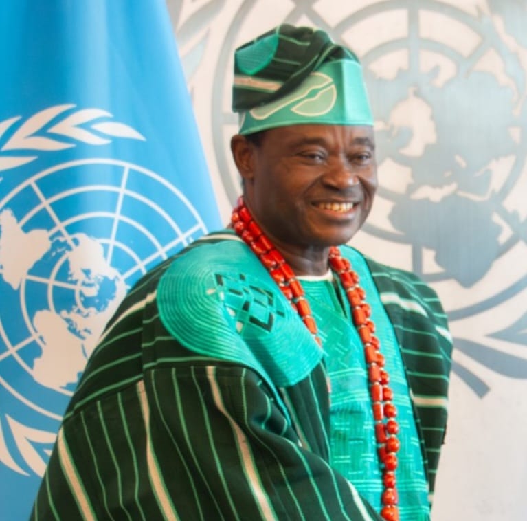 UN Envoy, Ibrahim seeks global debt-for-education swap at Paris UNESCO conference