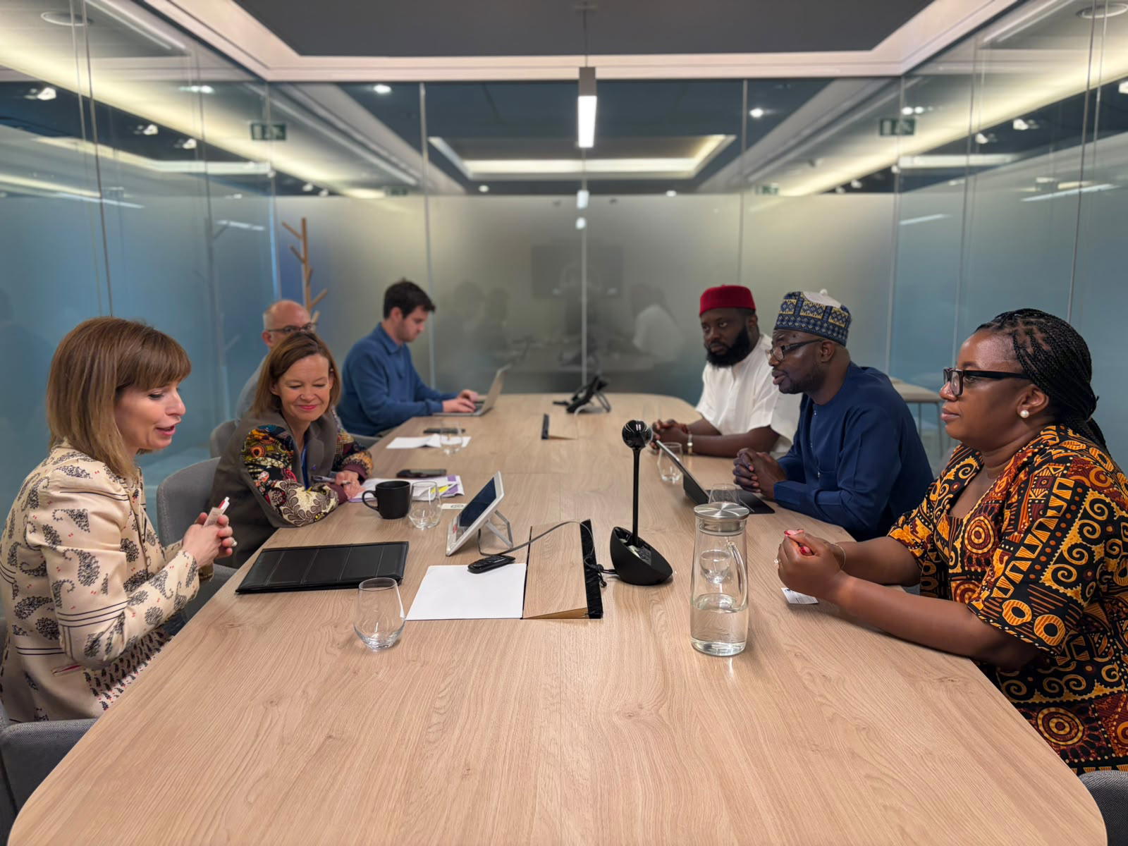 AID: FG seeks sustained humanitarian financing