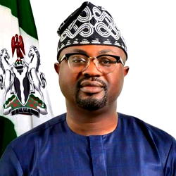 From long queues to doorstep delivery: Nigeria’s passport renewal goes digital in the UK