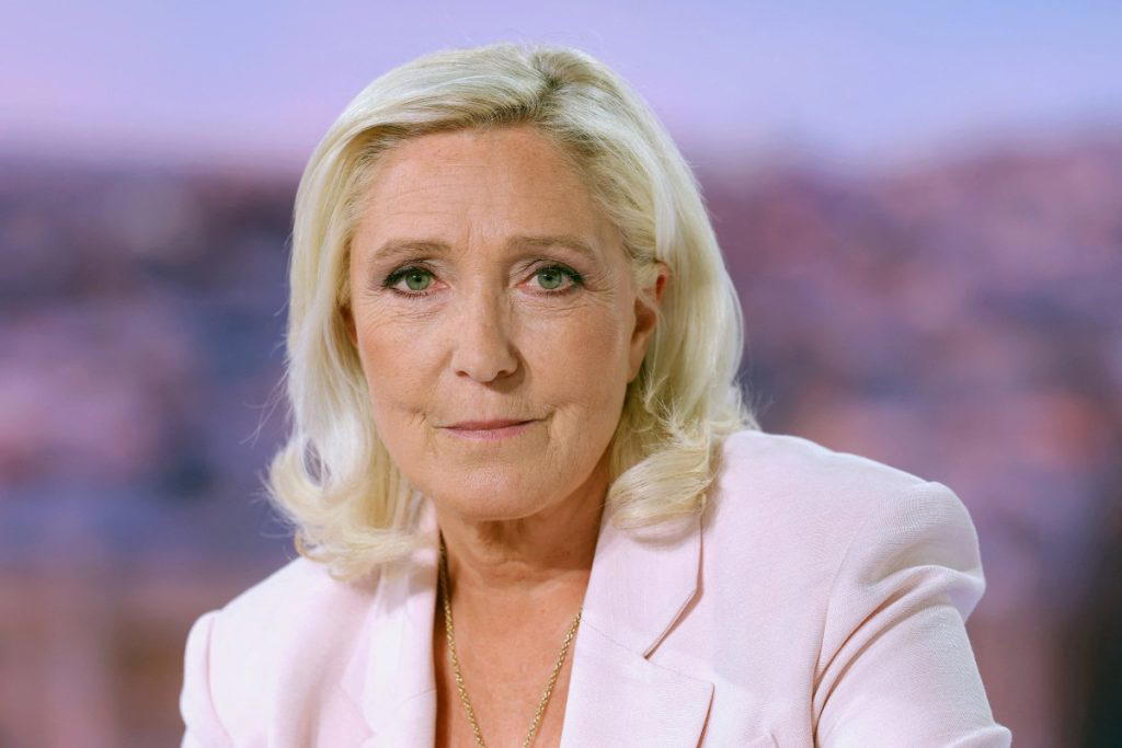 Le Pen hits campaign trail morning after announcing run