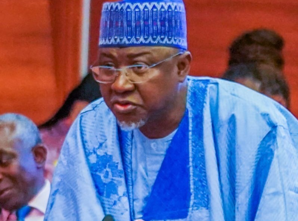 Senator Maidoki calls for acknowledgment of traditional medicine and native doctors' ancestral role