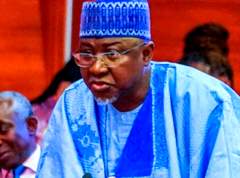 ‘Native doctors ‘intercede’ with ancestors’, says Senator Maidoki; seeks recognition for traditional medicine