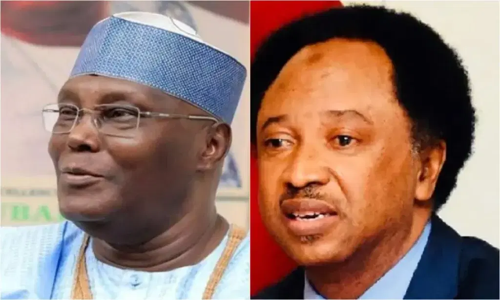 Atiku's spokesperson criticizes Shehu Sani for opposing US lobbying efforts against Tinubu