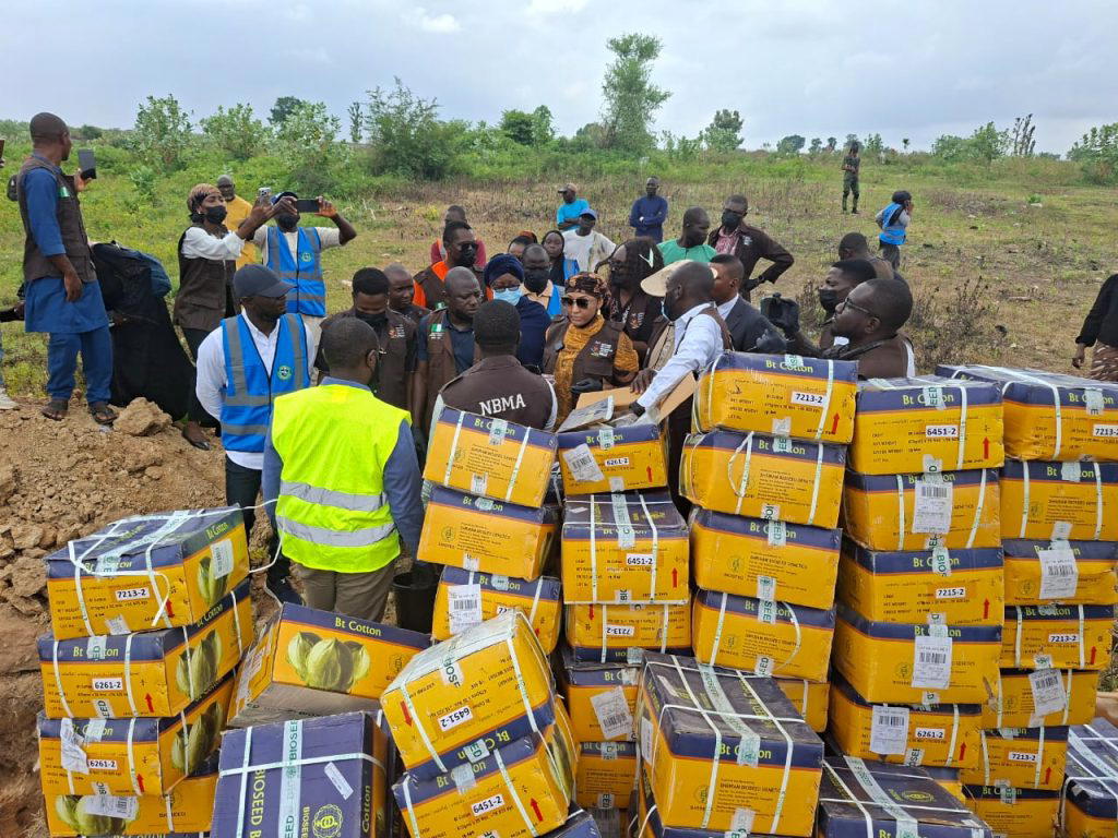 NBMA destroys N40m unauthorised transgenic cotton seeds