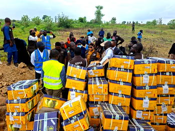 NBMA destroys N40m unauthorised transgenic cotton seeds