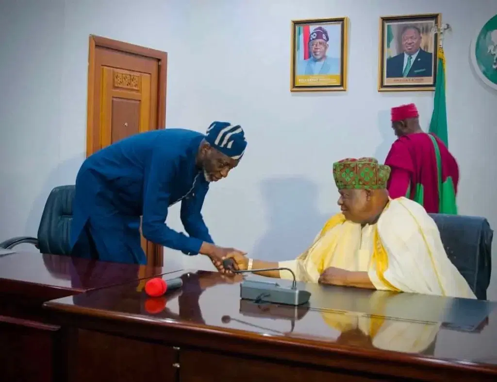 NIPSS Director General apologizes to Gbong Gwom for militia group remarks