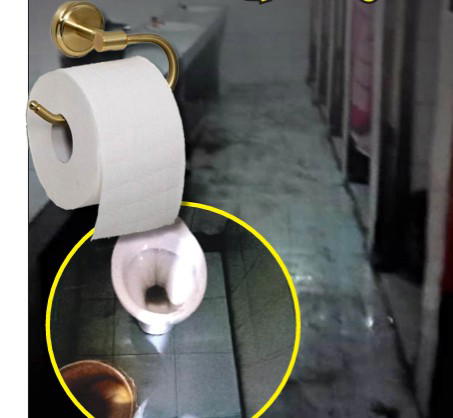 Menace of open defecation: Nigeria’s silent sanitation emergency