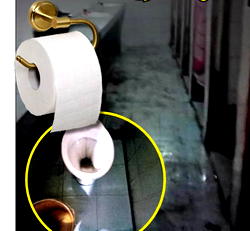 Menace of open defecation: Nigeria’s silent sanitation emergency