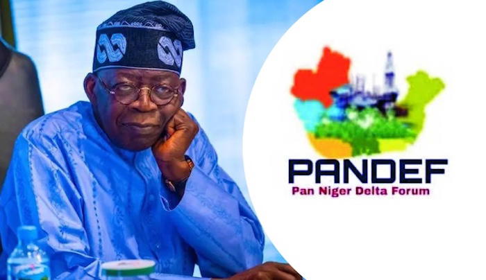 PANDEF urges Tinubu to prioritize infrastructure development for South-South region