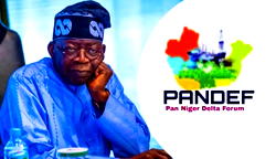 South-South deserves greater Infrastructural development, PANDEF tells Tinubu