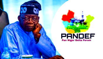 South-South deserves greater Infrastructural development, PANDEF tells Tinubu