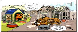Cartoon: ‘Experience is the best teacher’
