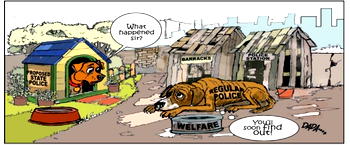Cartoon: ‘Experience is the best teacher’