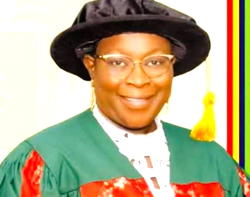Wrong to assume all women sleep upward — Lafiaji-Okuneye, LASUED VC