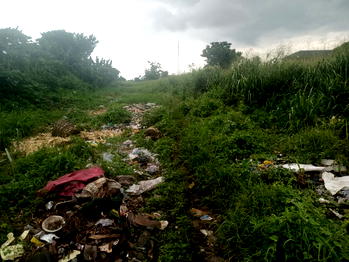 Photos: South-East records mixed fortunes in sanitation, open defecation fight
