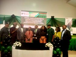 Nigeria loses N2.376tn to grid inefficiency in 12 years – NISO