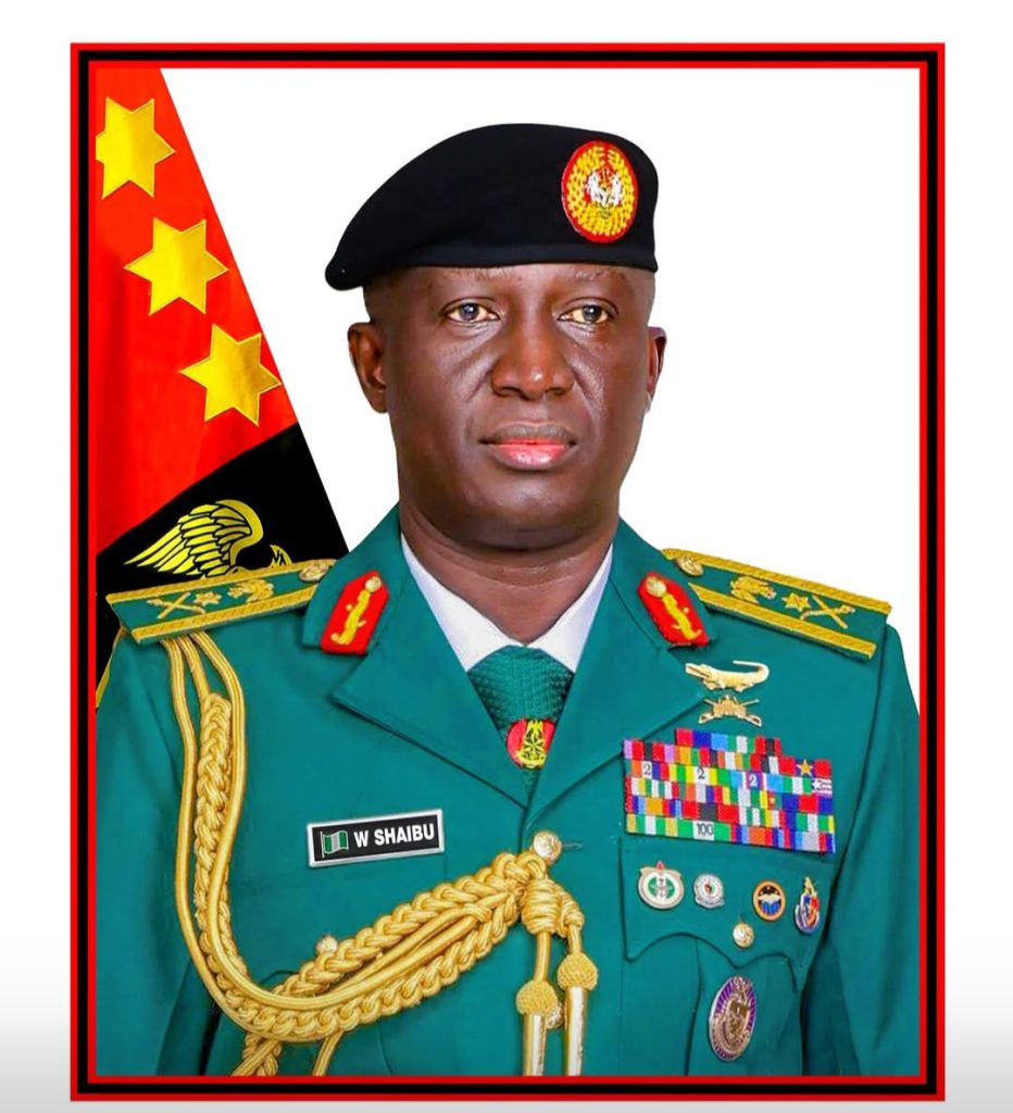 ‘We’re building a professional, combat-ready Army’ — COAS