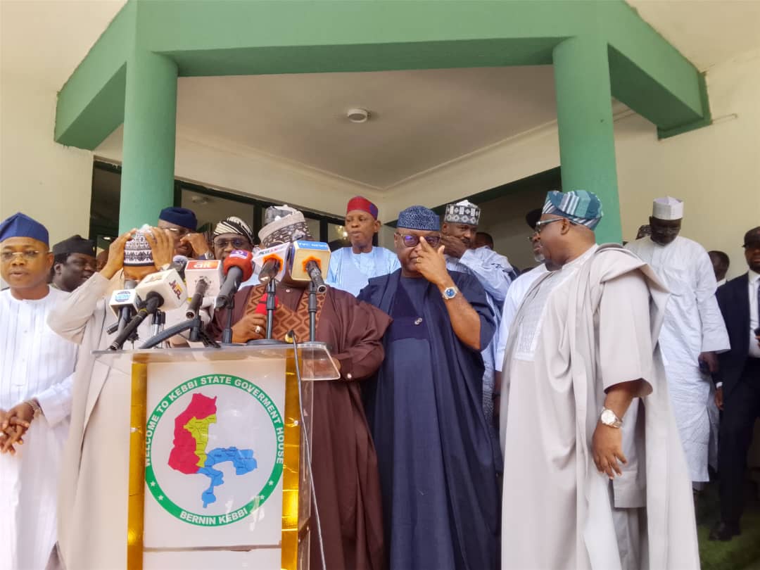 18 APC first-term govs condemn xenophobic attacks in SA, back Tinubu’s reforms
