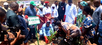 Taraba launches school tree-planting campaign to tackle climate change