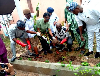 Ikeja LG Chair, Akeem Dauda pledges 1,000 trees to boost green environment