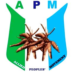 Ede Airport: APM urges Adeleke to review N130bn contract