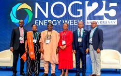 Engineering, local manufacturing key to Nigeria’s industrial transformation – Adubi