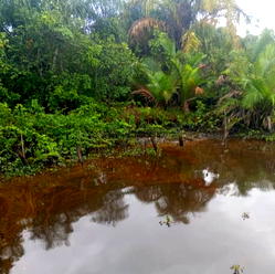 Uncertainty trails Bayelsa oil spill as community counts losses